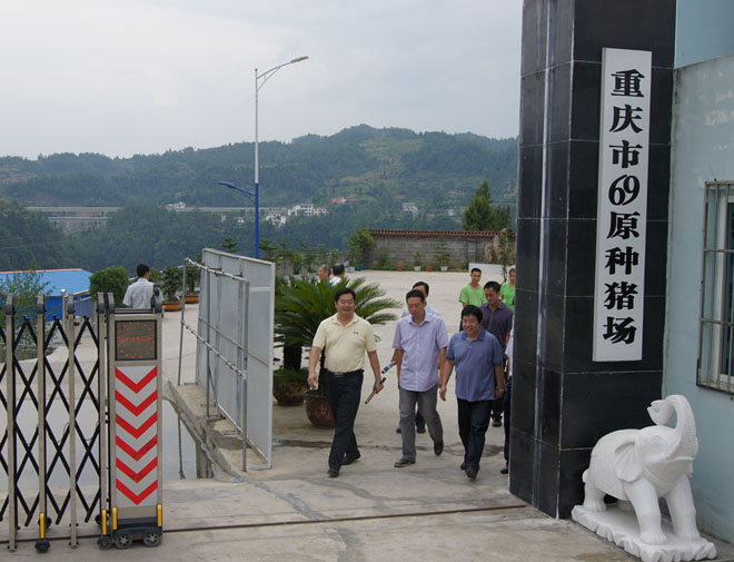 國(guó)家鄉(xiāng)村振興局副局長(zhǎng)、原黔江區(qū)委書(shū)記洪天云視察重慶69
