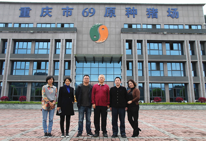 國家生豬產(chǎn)業(yè)技術體系首席科學家陳瑤生教授、壹號土豬總裁黎小兵蒞臨69指導交流